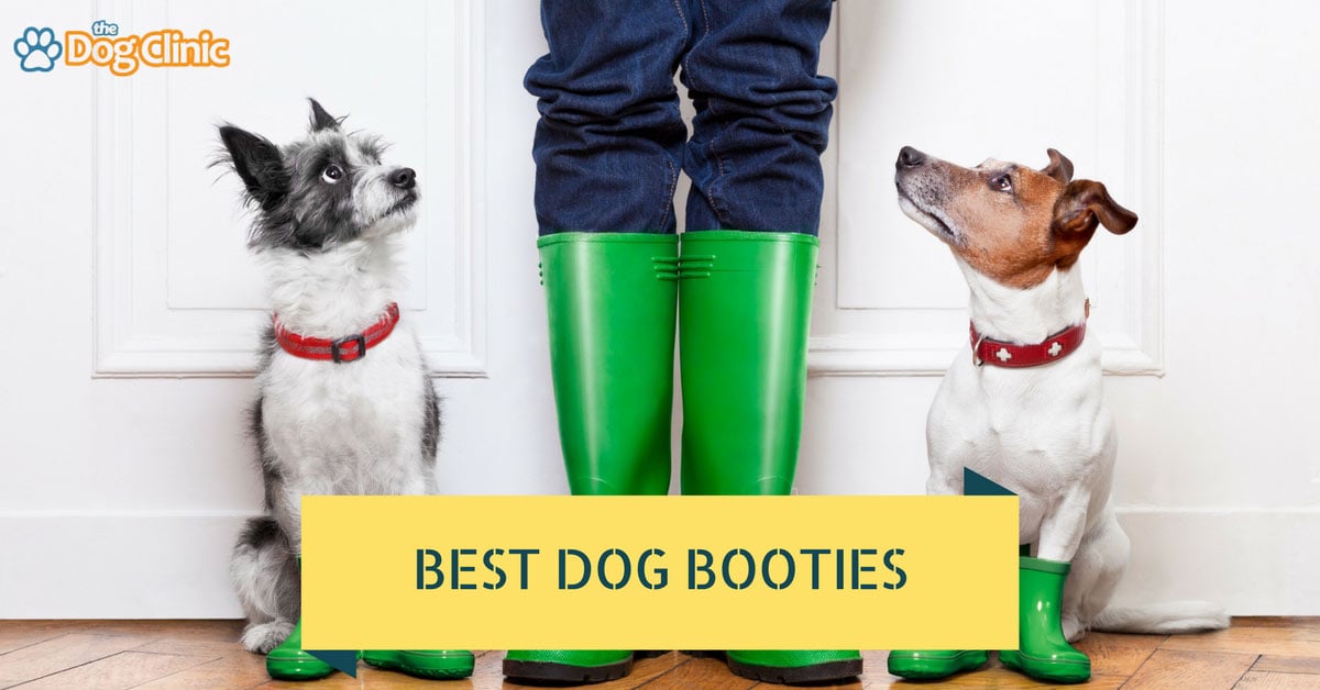Best Dog Boots For Hiking And Winter That Stay On 2020