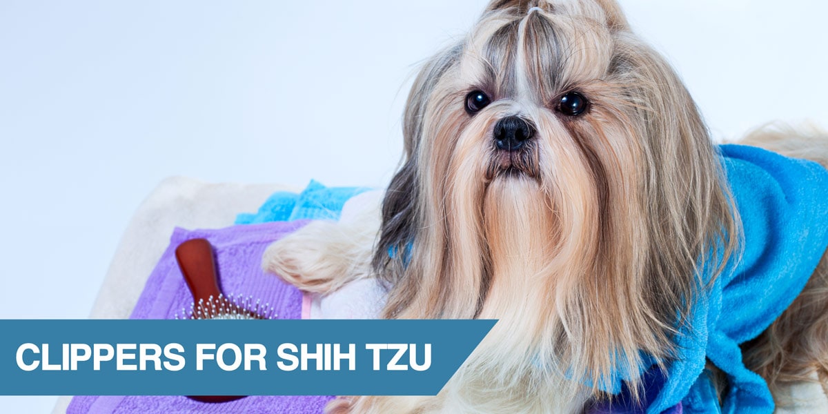 best dog clippers for shih tzu