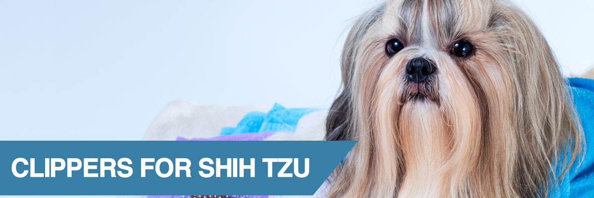 best clippers for shih tzu