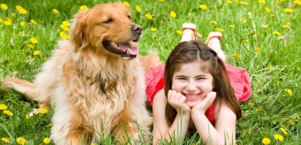 Child laying with a dog