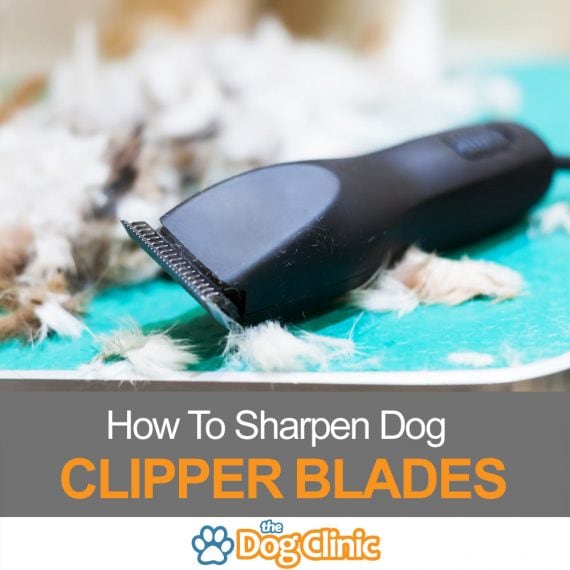 how to sharpen wahl clippers