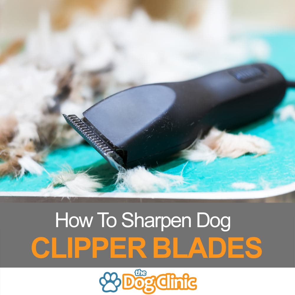 how to sharpen wahl clipper blades