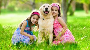 A guide to the best breeds for children