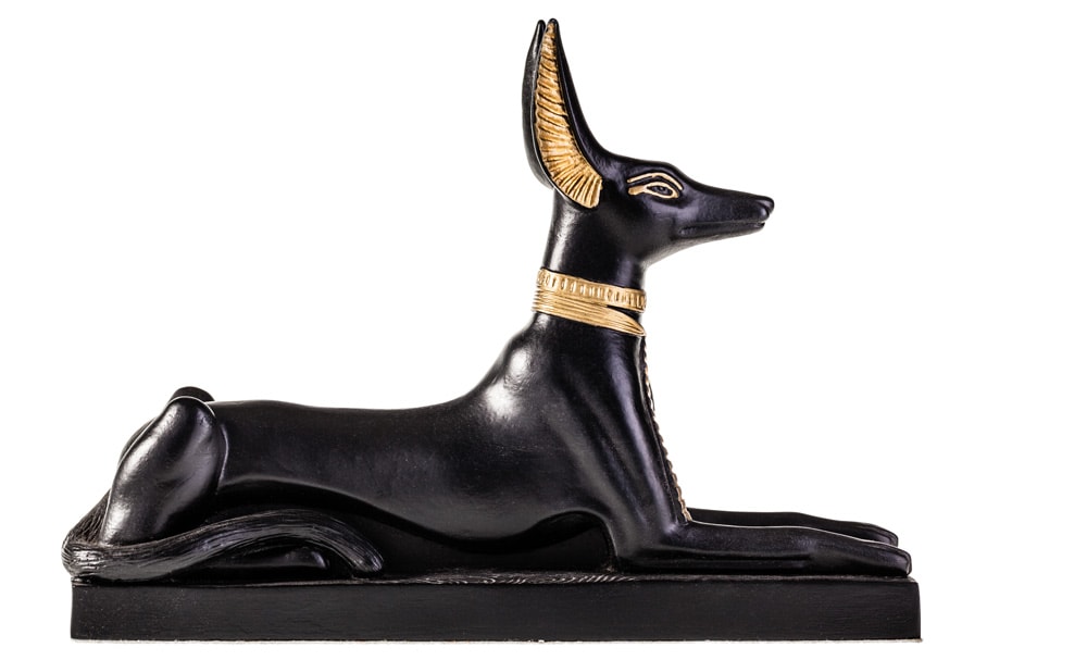 A model of Anubis