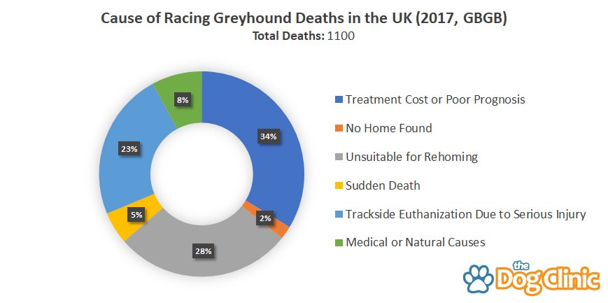 A chart of greyhound racing death percentages