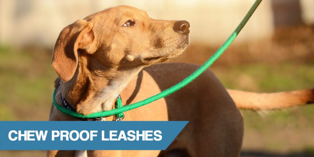 bite proof retractable dog leash
