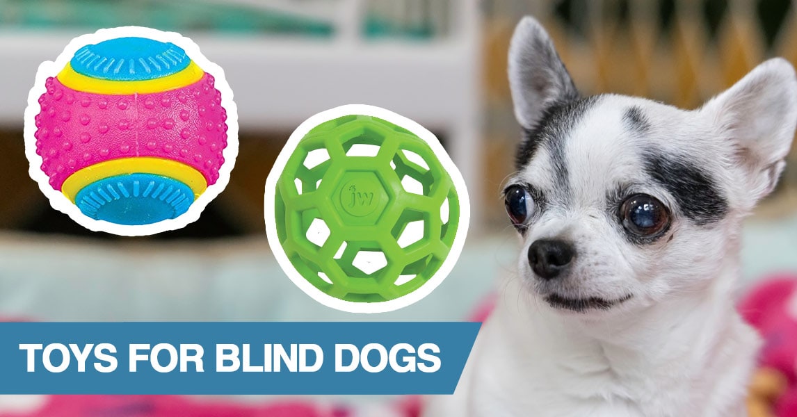 toys for blind dogs