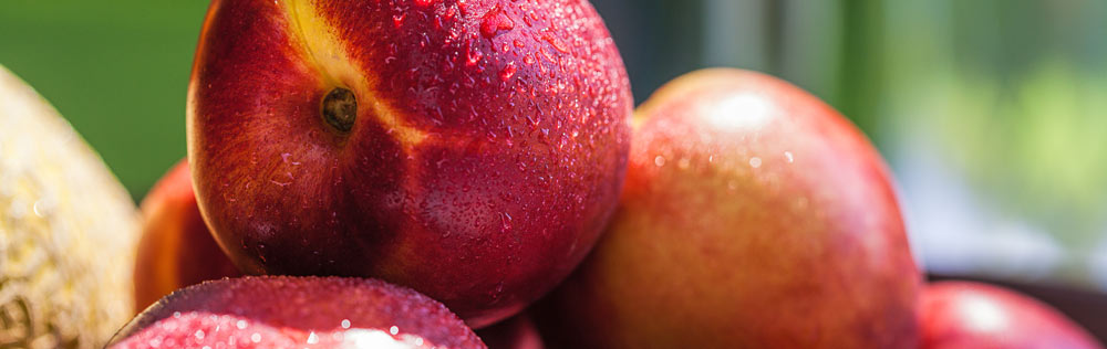 Nectarines covered in water