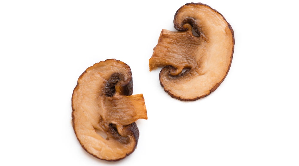 Two cooked mushroom pieces