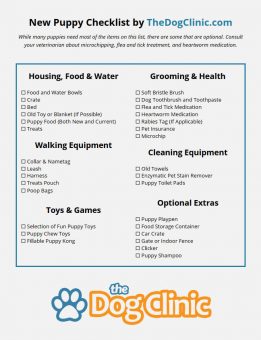 New Puppy Checklist: Everything You Need for a Puppy!