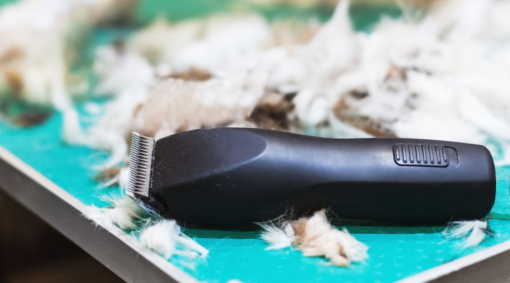 A guide to the best cordless clippers
