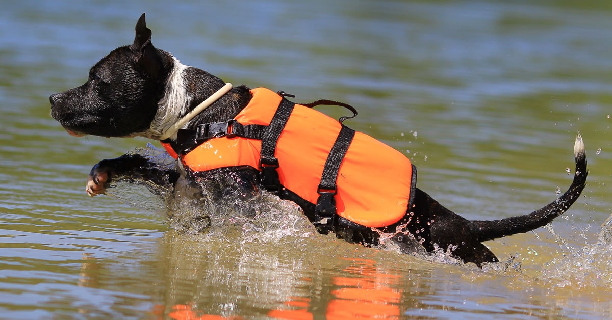 AQUATRACK DOG LIFE JACKET PET PFD ORANGE SAFETY VEST BUOYANCY FLOTATION AID 