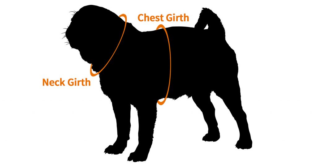 A diagram of how to measure a pug for a harness