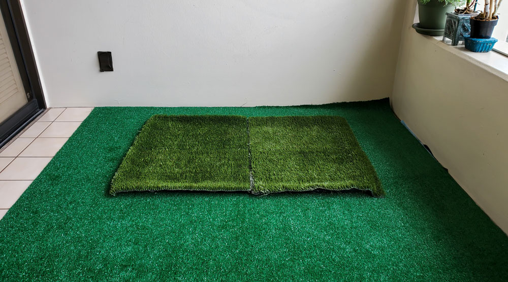 How to Train a Dog to Pee on Fake Grass