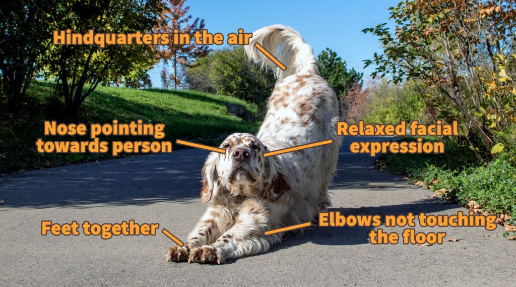 Diagram of a greeting stretch