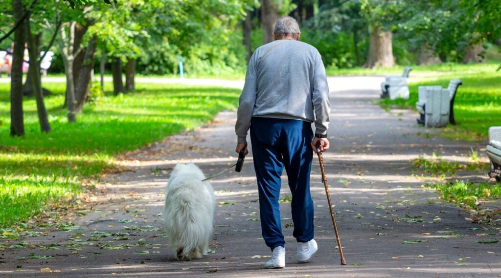 Senior man walking a dog