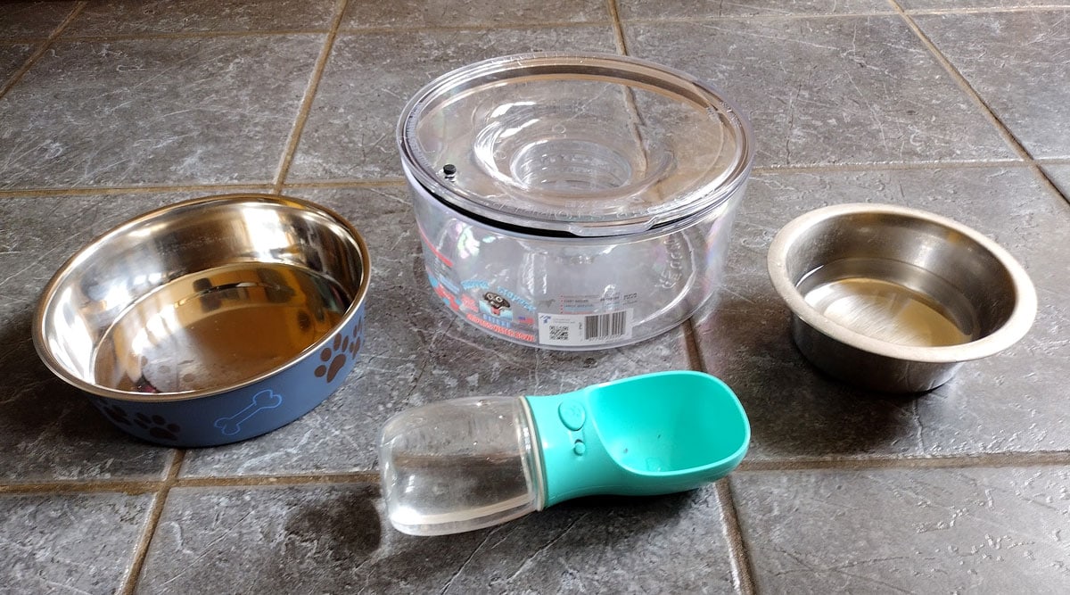 Our guide to the best water bowls dogs