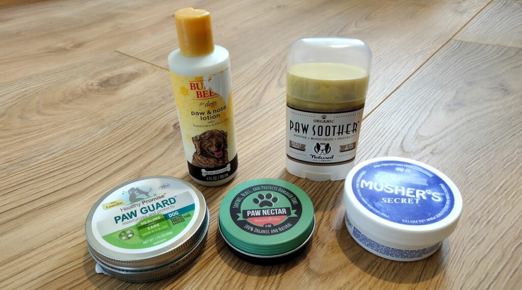 A guide to the best dog paw balms and waxes