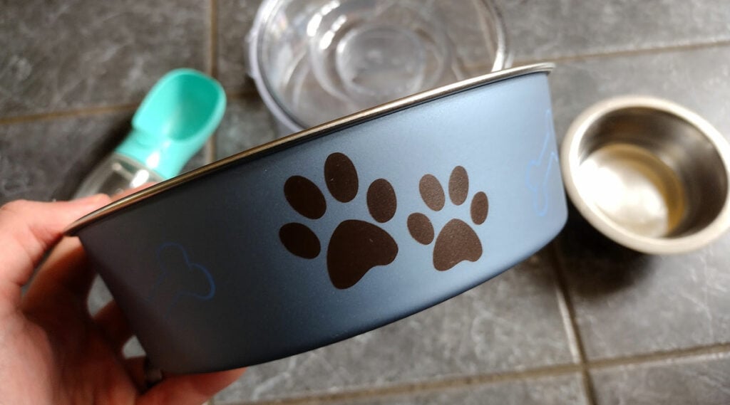 How we chose our top water bowls