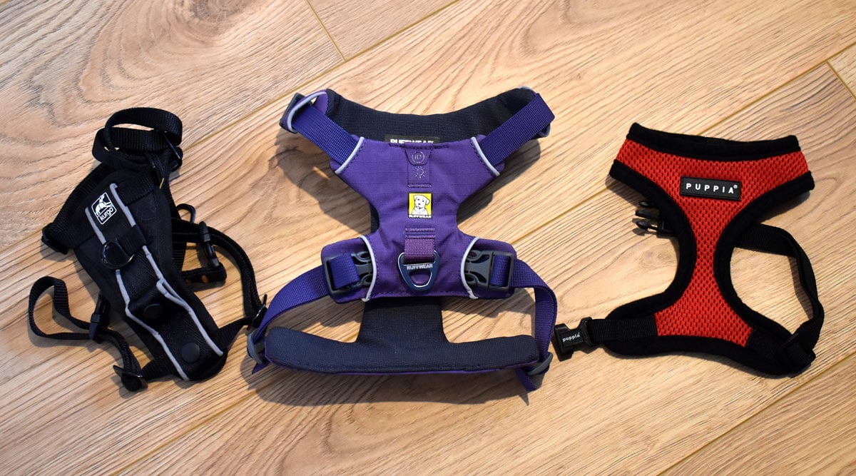 Our guide to the best dog harnesses