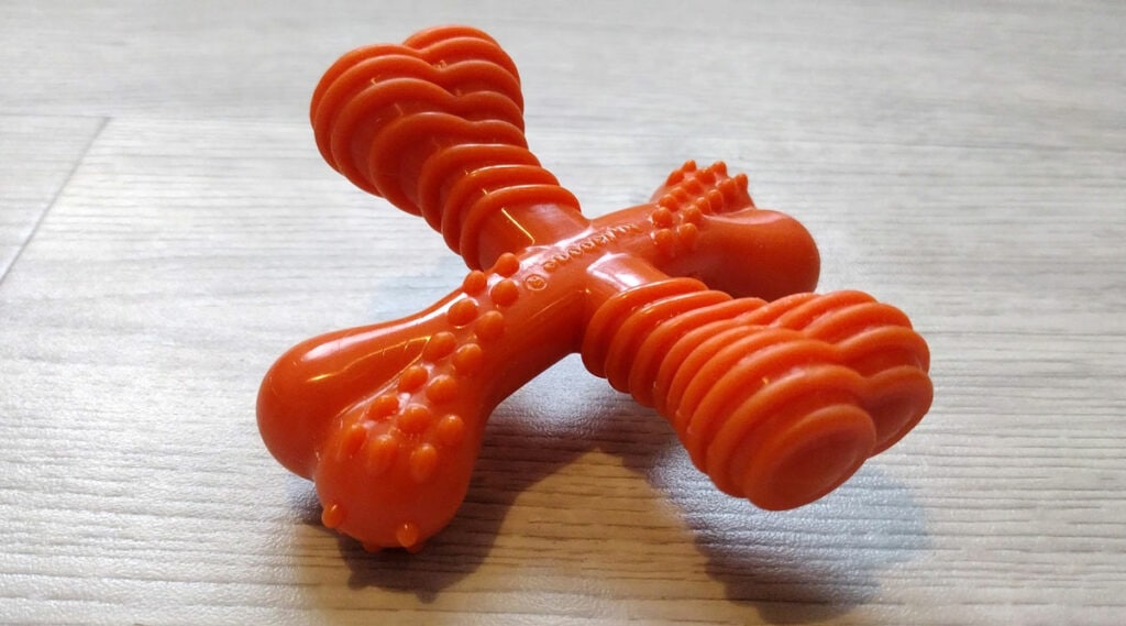 Example of the Nylabone